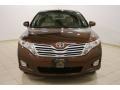 Sunset Bronze Mica - Venza V6 AWD Photo No. 2