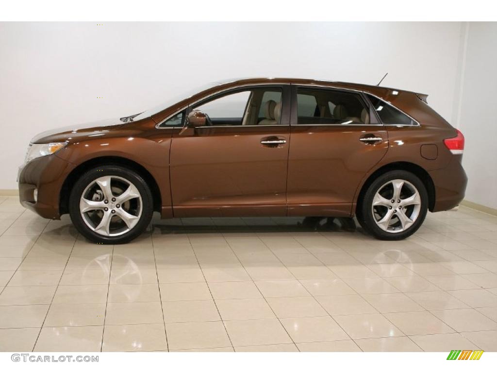 2010 toyota venza sunset bronze #4