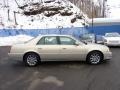 2009 Gold Mist Cadillac DTS   photo #6
