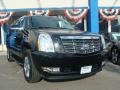 Black Raven - Escalade ESV AWD Photo No. 1