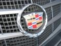 Thunder Gray Chromaflair - CTS Sedan Photo No. 35