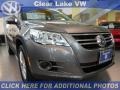 Alpine Gray Metallic - Tiguan S Photo No. 1