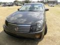 Moonstone - CTS Sedan Photo No. 19