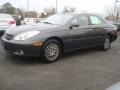 2004 Graphite Metallic Lexus ES 330  photo #6