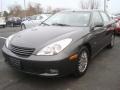 2004 Graphite Metallic Lexus ES 330  photo #7