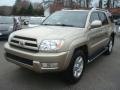 2004 Dorado Gold Pearl Toyota 4Runner Limited 4x4  photo #9