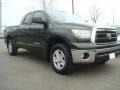 Spruce Green Mica 2010 Toyota Tundra Double Cab