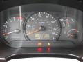 Gray Gauges Photo for 2005 Hyundai Accent #45952614