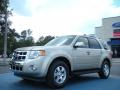 2011 Gold Leaf Metallic Ford Escape Limited  photo #1