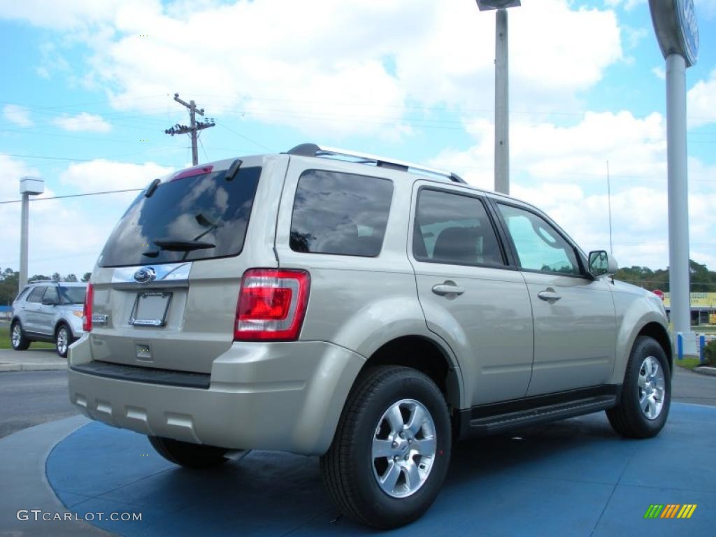 Gold Leaf Metallic 2011 Ford Escape Limited Exterior Photo #45956428