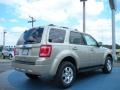 Gold Leaf Metallic 2011 Ford Escape Limited Exterior
