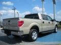 Pueblo Gold Metallic - F150 XLT SuperCrew Photo No. 5