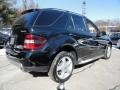 Black - ML 350 4Matic Photo No. 6