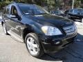 Black - ML 350 4Matic Photo No. 7