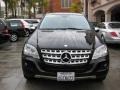 Black - ML 320 BlueTec 4Matic Photo No. 9