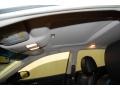 Radiant Silver Metallic - Maxima 3.5 SV Photo No. 12