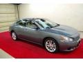 Ocean Gray - Maxima 3.5 SV Photo No. 1