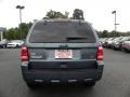 2010 Steel Blue Metallic Ford Escape XLT V6  photo #4