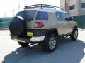 Quicksand - FJ Cruiser 4WD Photo No. 3
