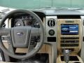 Pale Adobe Dashboard Photo for 2011 Ford F150 #45964496