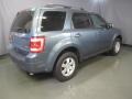 2010 Steel Blue Metallic Ford Escape Limited V6 4WD  photo #12