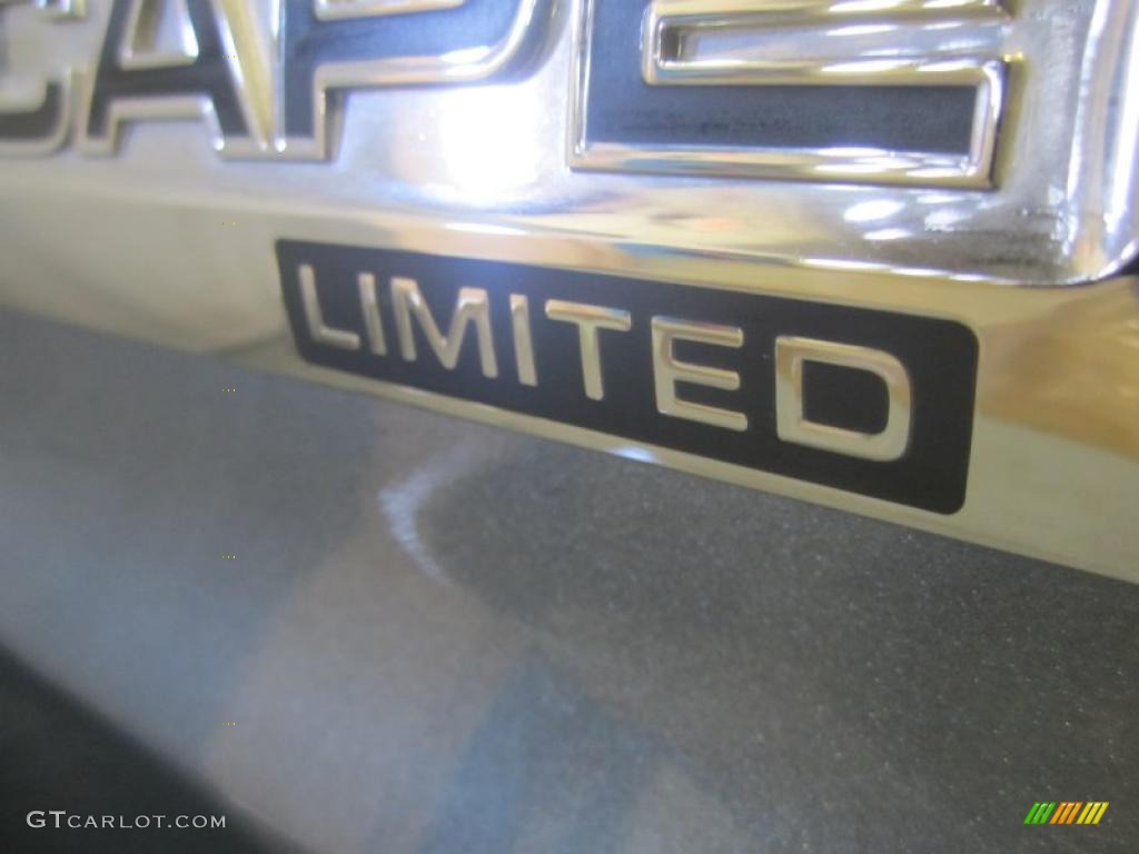 2010 Escape Limited V6 4WD - Steel Blue Metallic / Charcoal Black photo #17