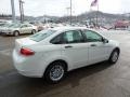 White Suede - Focus SE Sedan Photo No. 4