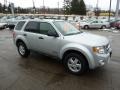 2008 Silver Metallic Ford Escape XLT  photo #6