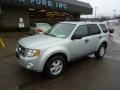 2008 Silver Metallic Ford Escape XLT  photo #8