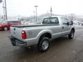Ingot Silver Metallic - F250 Super Duty XL Regular Cab 4x4 Photo No. 4