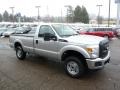 Ingot Silver Metallic - F250 Super Duty XL Regular Cab 4x4 Photo No. 6