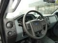 Ingot Silver Metallic - F250 Super Duty XL Regular Cab 4x4 Photo No. 11