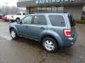 2010 Steel Blue Metallic Ford Escape XLT 4WD  photo #2