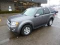 2010 Sterling Grey Metallic Ford Escape Limited V6 4WD  photo #8