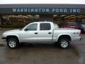 2004 Bright Silver Metallic Dodge Dakota Sport Quad Cab 4x4  photo #1