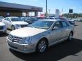 Gold Mist 2008 Cadillac STS V8