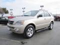 2005 Sand Beige Metallic Kia Sorento LX  photo #3