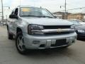 Moondust Metallic - TrailBlazer LS Photo No. 1