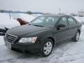 Ebony Black - Sonata GLS Photo No. 1