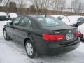 Ebony Black - Sonata GLS Photo No. 9