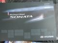 Radiant Silver - Sonata GLS Photo No. 19