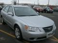 Radiant Silver - Sonata GLS Photo No. 17