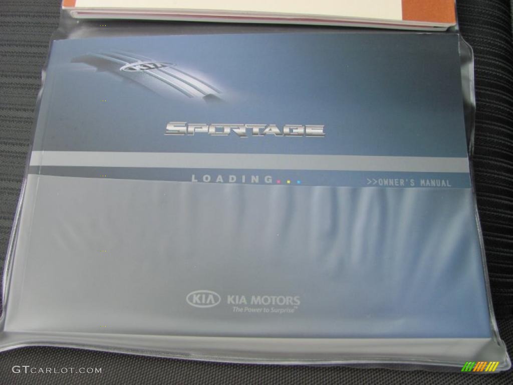 2010 Sportage LX V6 4x4 - Steel Silver / Black photo #4