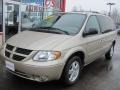 Linen Gold Metallic - Grand Caravan SXT Photo No. 1