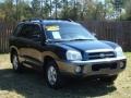 2005 Black Obsidian Hyundai Santa Fe GLS  photo #6