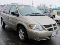 Linen Gold Metallic - Grand Caravan SXT Photo No. 23