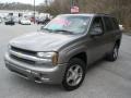 2008 Graystone Metallic Chevrolet TrailBlazer LS  photo #7