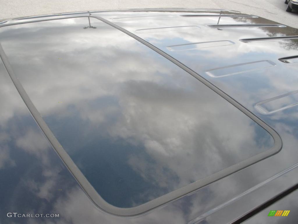 2010 Ford F150 Harley-Davidson SuperCrew 4x4 Sunroof Photo #45994820