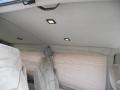 1999 Medium Fernmist Green Metallic Chevrolet Express 1500 Passenger Conversion Van  photo #23