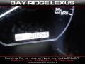 Millenium Silver Metallic - RX 350 AWD Photo No. 12